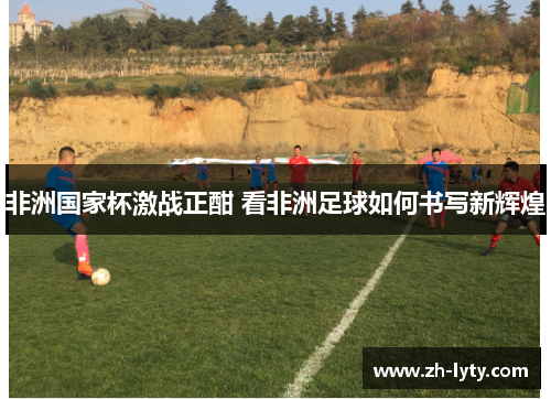 非洲国家杯激战正酣 看非洲足球如何书写新辉煌