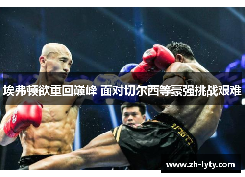 埃弗顿欲重回巅峰 面对切尔西等豪强挑战艰难 埃弗顿欲重回巅峰 面对切尔西等豪强挑战艰难